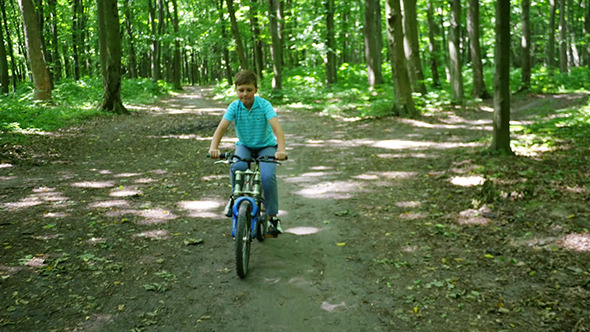 Boy Biking On Forest Trails In Day Boy Biking On Forest Trails In Day