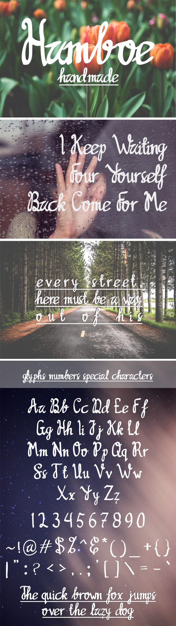 HAMBOE - Script Fonts