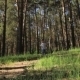 Child Running In The Woods - VideoHive Item for Sale