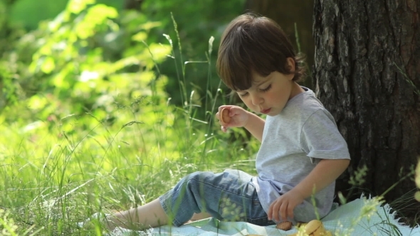 Little Boy Eats In Nature Little Boy Eats In Nature