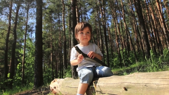 Boy Sitting On a Log Boy Sitting On a Log