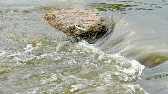 Fast Flowing River With Stones In The Water Slow Fast Flowing River With Stones In The Water Slow
