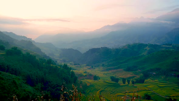 4K Asia mountain with rice field agriculture green landscape outdoor in asian farm