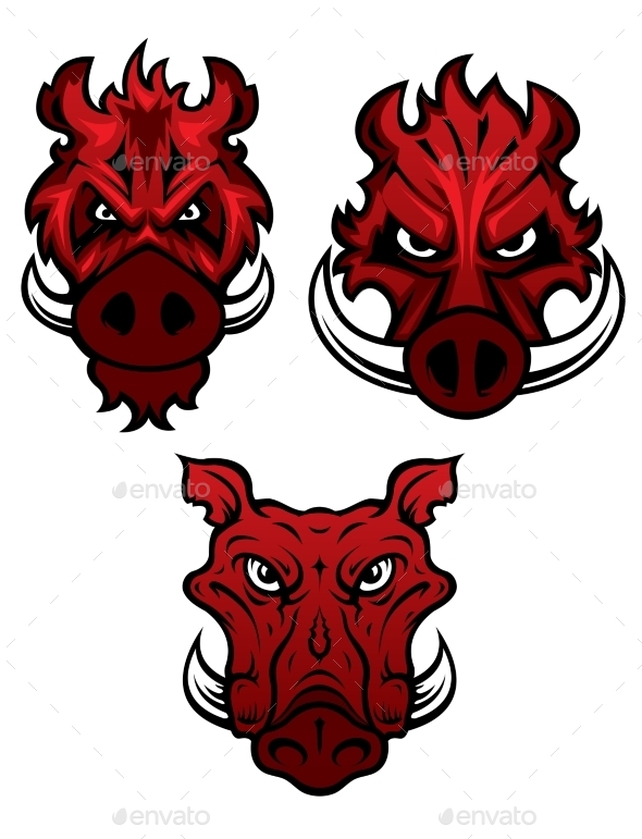 Wild Boars With Sharp Tusks Wild Boars With Sharp Tusks