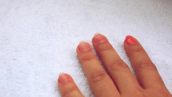 Manicure - Beautiful Manicured Woman's Nails