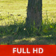 Under a Tree in a Sunny Day - VideoHive Item for Sale
