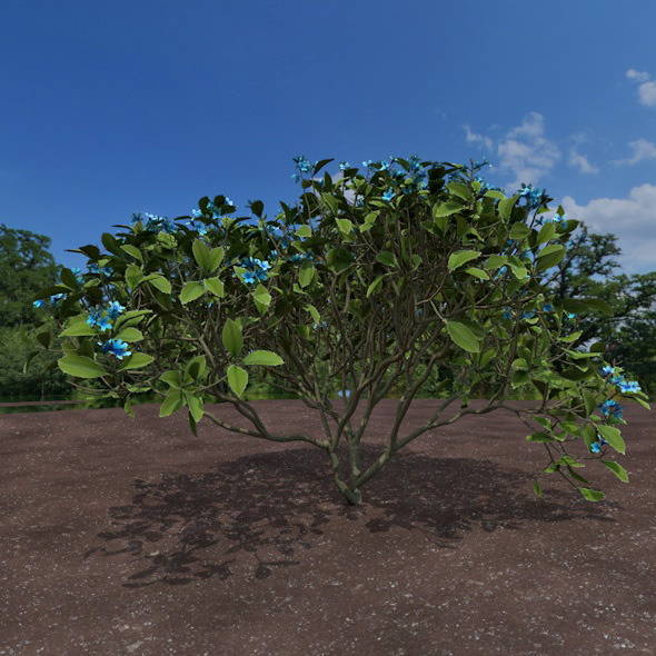 blue shrub - 3Docean 12322339