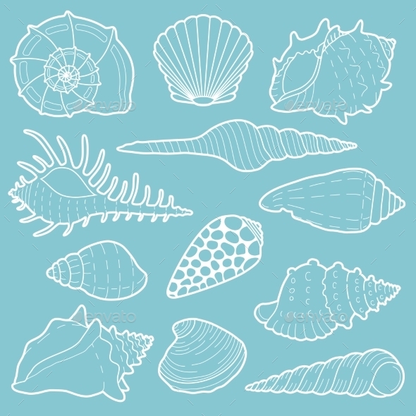 White Sea Shells Vector Icon Set White Sea Shells Vector Icon Set