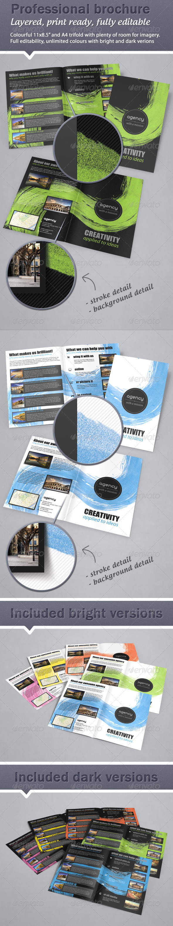 Colorful, Fresh Bifold Brochure - 11x8.5 & A4 - Corporate Brochures