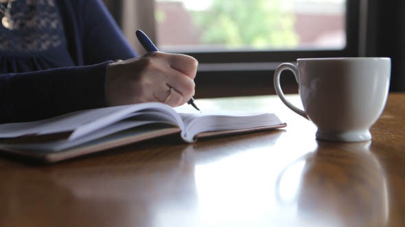 Business Woman Takes Notes in a Diary Business Woman Takes Notes in a Diary