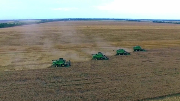 Wheat Harvesting Wheat Harvesting