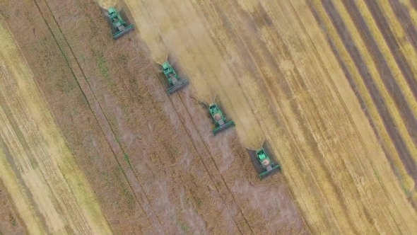 Aerial Wheat Harvesting Aerial Wheat Harvesting