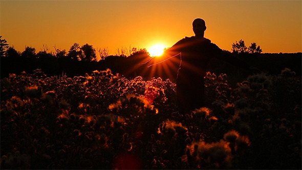 Sunset Walk, Stock Footage | VideoHive