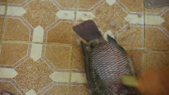 Male Hands Cleaning Fish. 