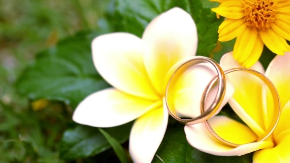 Wedding Gold Rings On The Thai Flowers