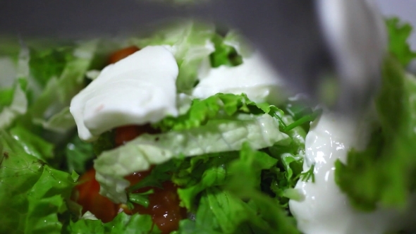 The Addition Of Sour Cream And Mixing Vegetable