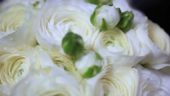 Resting White Rose Bouquet On Wedding Day