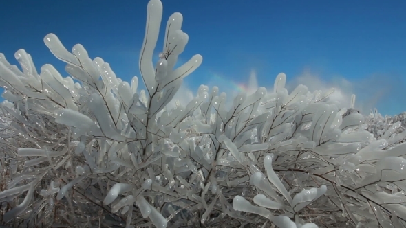 Winter Ice Blocks Winter Ice Blocks