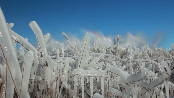 Winter Ice Blocks alt