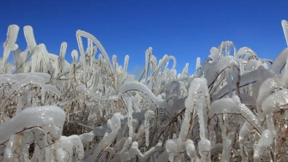 Winter Ice Blocks Winter Ice Blocks