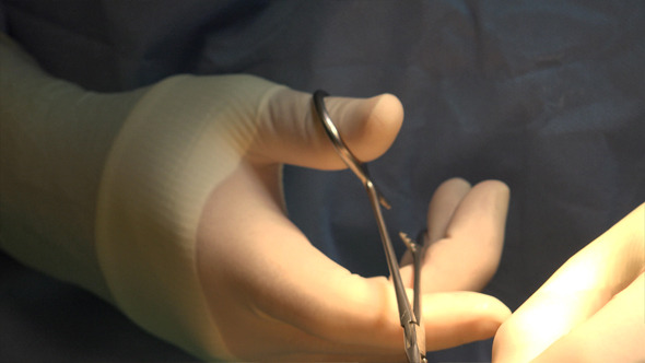 Surgery 7 Surgery 7