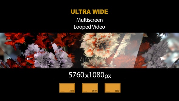 Ultra Wide HD Bouquet Flowers Reflex 06