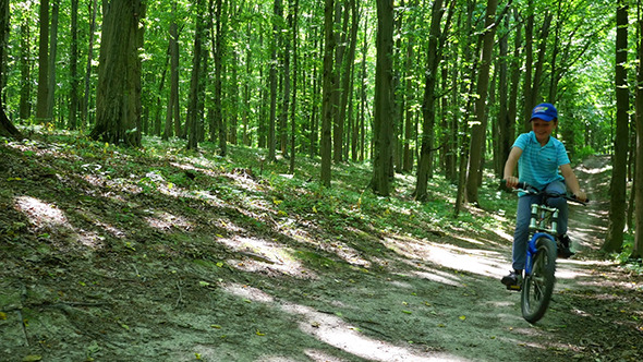 Boy Biking On Forest Trails Boy Biking On Forest Trails