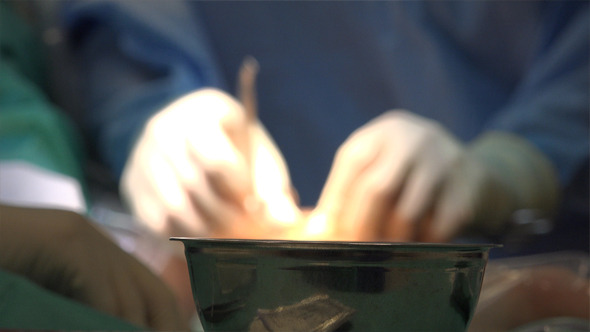 Surgery 10 Surgery 10