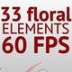 33 floral elements (60 fps) - VideoHive Item for Sale