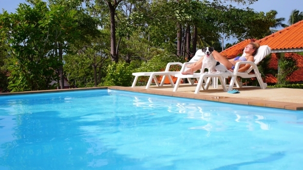 Woman with Dog Sunbathing And Relaxing near Pool