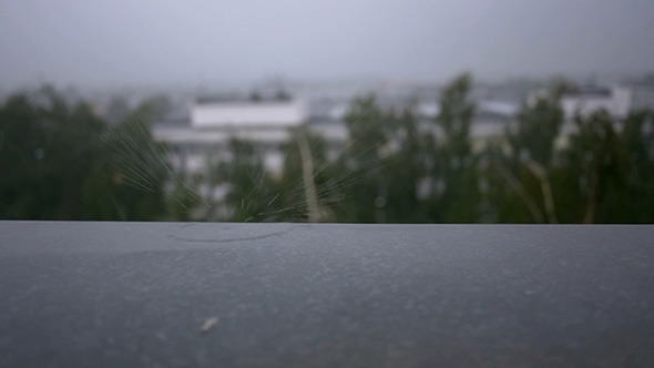 Rain Drops On Window Rain Drops On Window