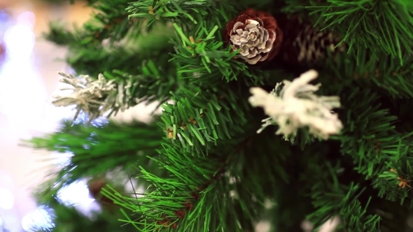 Spruce Cones On Christmas Tree