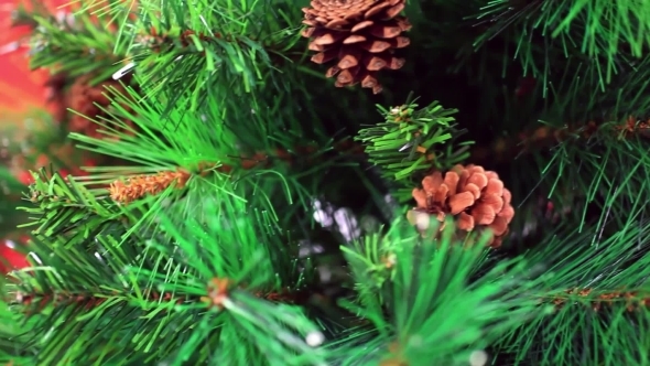Spruce Cones On Christmas Tree