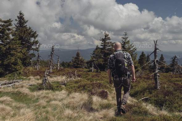 lonely backpacker - Stock Photo - Images