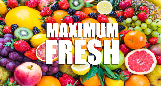 MAXIMUM FRESH