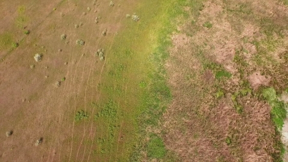 Flight In Field Camera Tilt Up alt