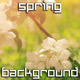 Spring Garden - VideoHive Item for Sale