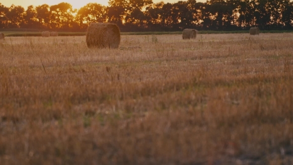 Rick Of Straw In The Field alt