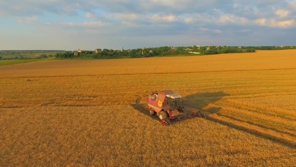 Combine On Harvest Field In Ukraine