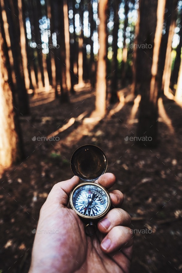 Using a vintage compass in the woods.