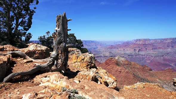 Grand Canyon Bundle Grand Canyon Bundle