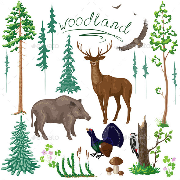 Woodland Plants and Animals Set - Animals Characters