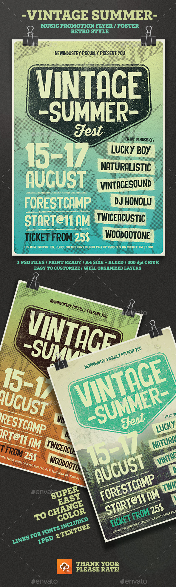 Vintage Summer Fest Poster/Flyer - Events Flyers