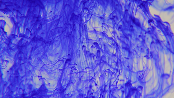Blue Abstract Fluid