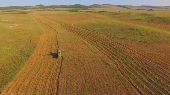 AERIAL VIEW. Combine On Harvest Fields