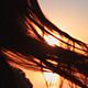 Girl Enjoying The Sunrise Girl Enjoying The Sunrise - VideoHive Item for Sale