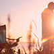 Woman Stands At Sunrise Woman Stands At Sunrise - VideoHive Item for Sale