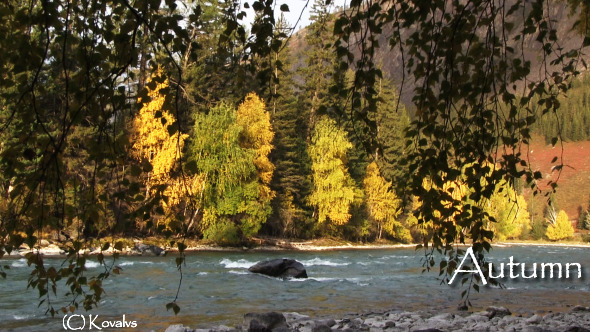 Autumn Mountain River