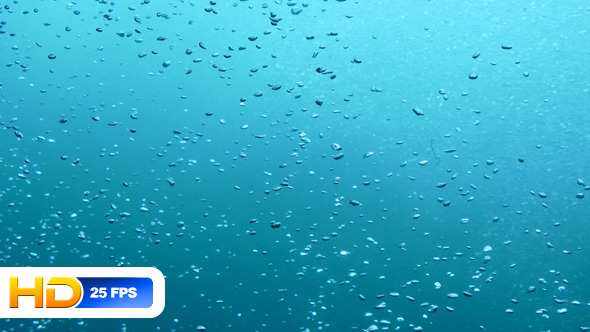 Bubbles Underwater