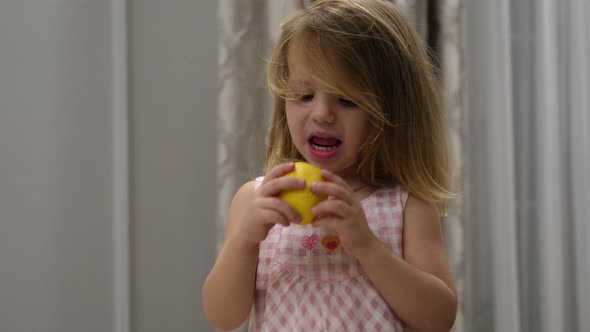 Portrait of Cute Baby Girl in Dress Who Eats a Sour Lemon While Sitting Indoors on High Chair alt